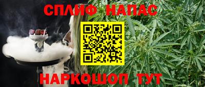 скорость Будённовск