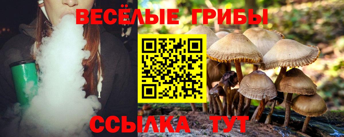 Галлюциногенные грибы Cubensis Малоярославец